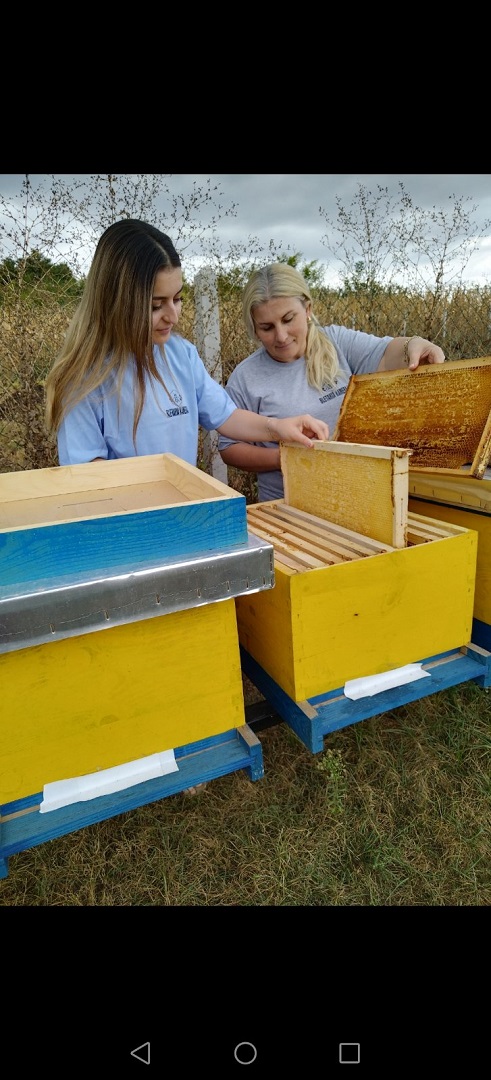 Empowering the Future: Gjyle Kameraj’s Beekeeping Success Story in Kosova